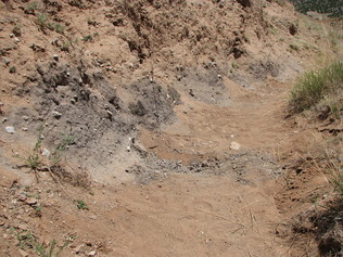 Younger Dryas “black mats” and the Rancholabrean termination in